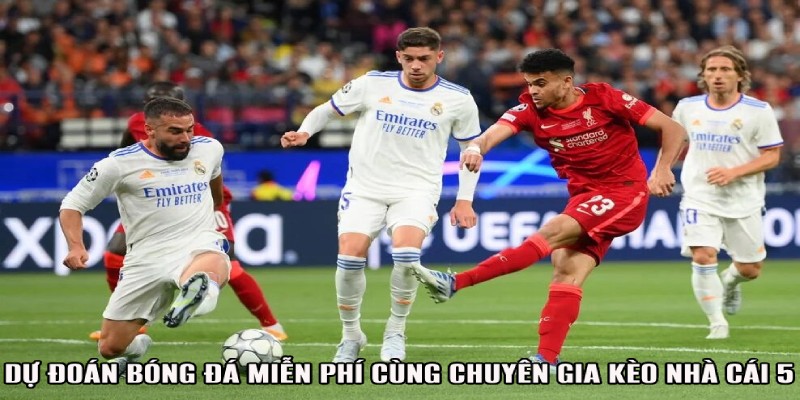 Dự đoán KQBĐ miễn phí cùng chuyên gia kèo nhà cái