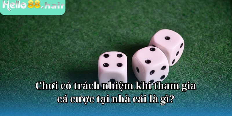 Chơi có trách nhiệm khi tham gia cá cược tại nhà cái là gì?